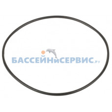 Прокладка крышки задней (фланца) насоса SS Emaux (031113 / 02011090)